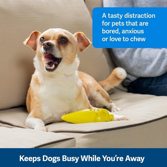 PetSafe Frosty Cone Chew Dog Toy, Medium/Large - Picture 6 of 8